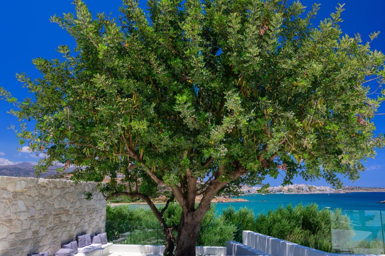The Island Concept Luxury Boutique Hotel Heated Pool Ágios Nikolaos Exterior foto